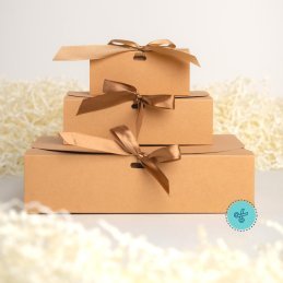 CAJA FOLD L KRAFT, 24x24x6cm (12UND)
