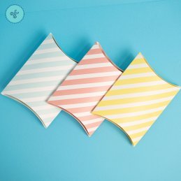 PILLOW BOX RAYAS CORAL, PB037 18.5 x 13.5 x 3.5cm (6UND) 