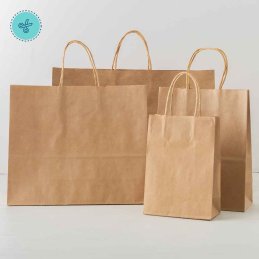 BOLSA PAPEL ASA KRAFT L HORIZONTAL 33X26X12CM (12UND)