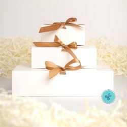 CAJA FOLD M BLANCO 16.5x16.5x5cm (12UND)