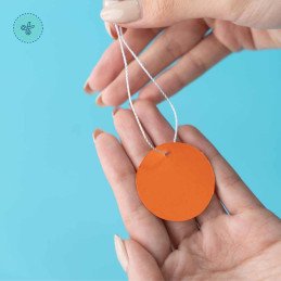 TAGS DE COLORES, PARA ROPA, 100UND