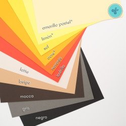 CART LISA  LADRILLO  270GR 12"X12"