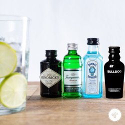 TANQUERAI 50ML GIN 
